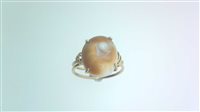 Ringe Dame MARE in Gelbgold Conchiglia OPERCOLO OV C/C 3.9 Sommer G